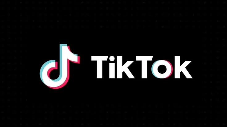 Mrbeast and roblox ceo make huge offer to buy tiktok